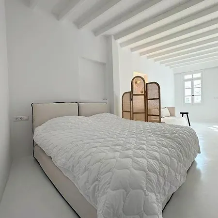 Studio 77 公寓 Mykonos Town